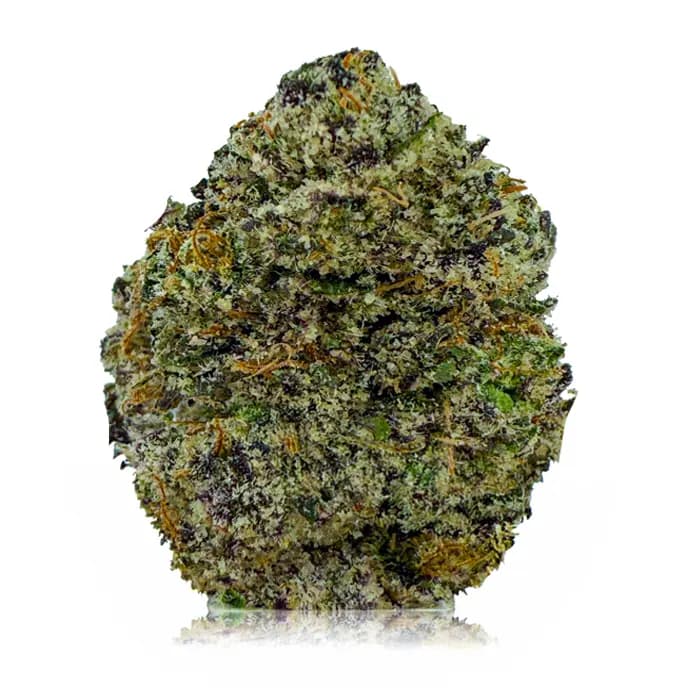 PINK ICKY STICKY flower listing